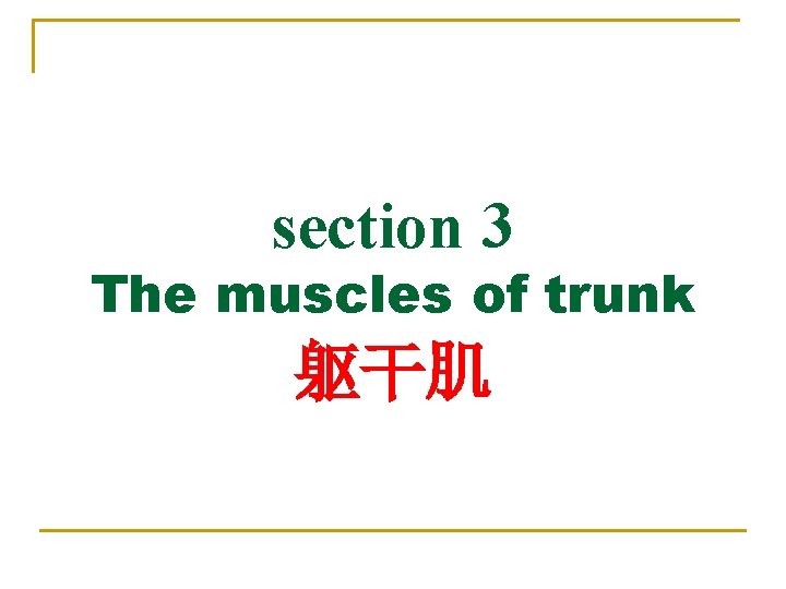 section 3 The muscles of trunk 躯干肌 