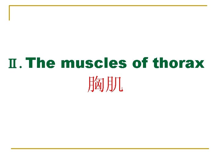 Ⅱ. The muscles of thorax 胸肌 