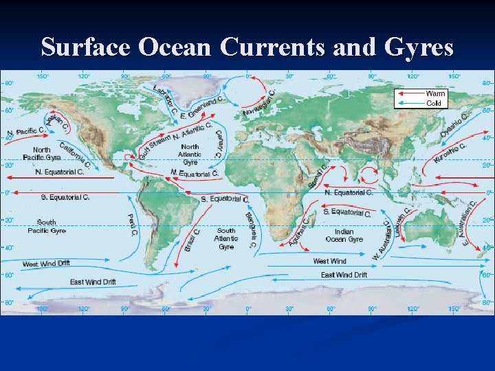 Surface Ocean Currents and Gyres 