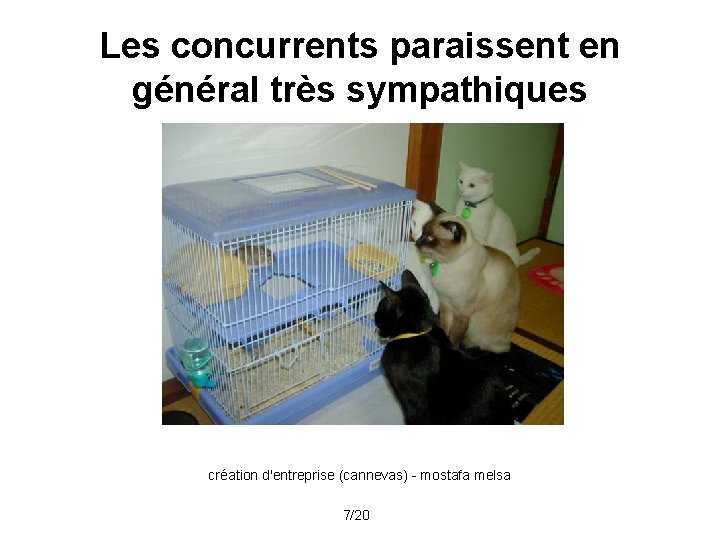 Les concurrents paraissent en général très sympathiques création d'entreprise (cannevas) - mostafa melsa 7/20 Les concurrents paraissent en général très sympathiques création d'entreprise (cannevas) - mostafa melsa 7/20