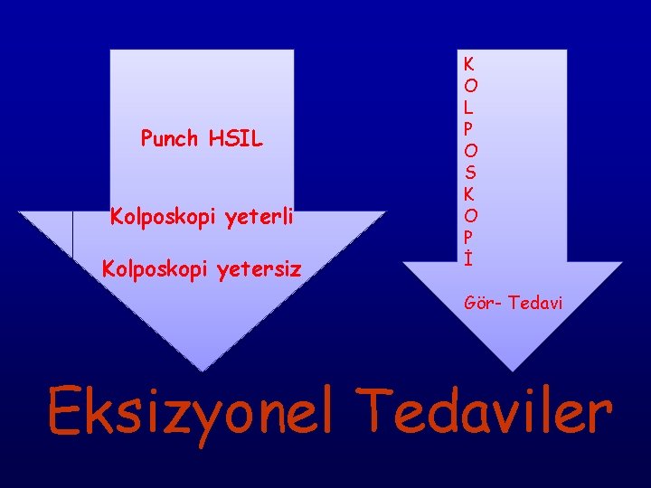 Punch HSIL Kolposkopi yeterli Kolposkopi yetersiz K O L P O S K O