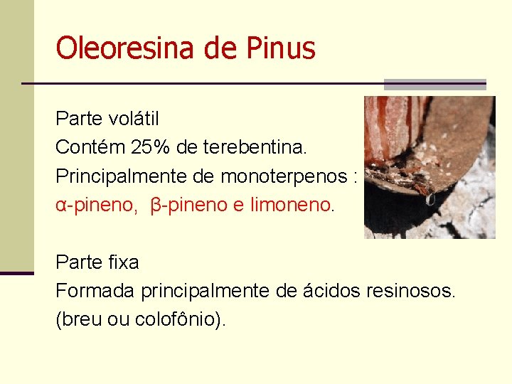 Oleoresina de Pinus Parte volátil Contém 25% de terebentina. Principalmente de monoterpenos : α-pineno,