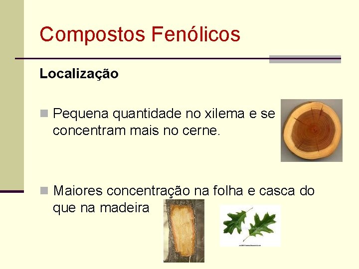 Compostos Fenólicos Localização n Pequena quantidade no xilema e se concentram mais no cerne.