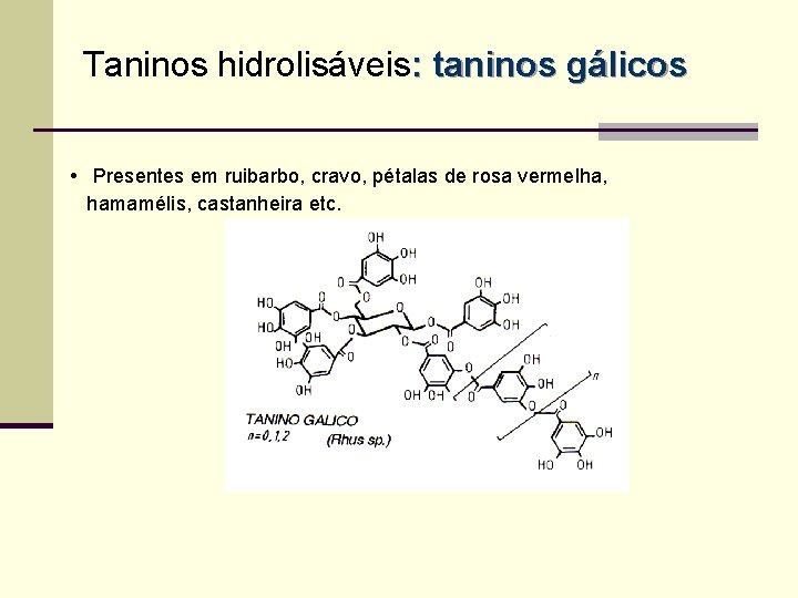 Taninos hidrolisáveis: taninos gálicos • Presentes em ruibarbo, cravo, pétalas de rosa vermelha, hamamélis,