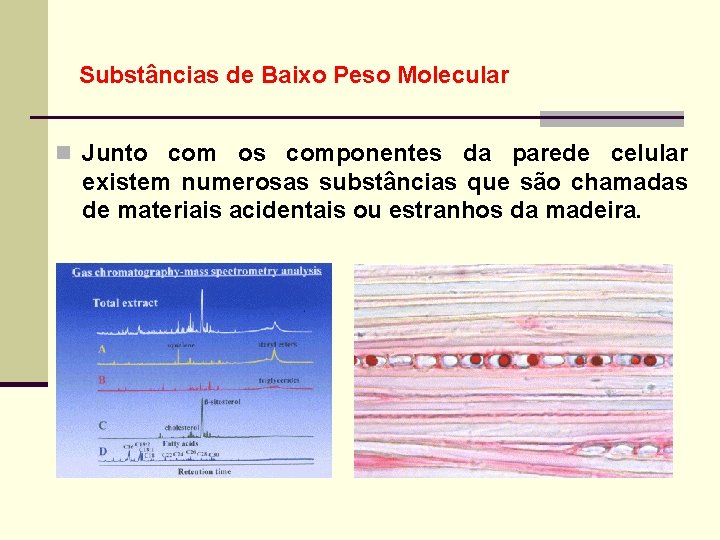 Substâncias de Baixo Peso Molecular n Junto com os componentes da parede celular existem