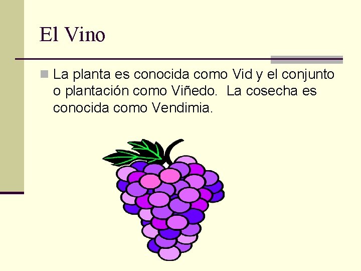 El Vino n La planta es conocida como Vid y el conjunto o plantación