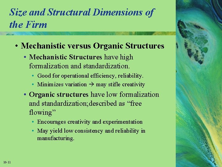 Size and Structural Dimensions of the Firm • Mechanistic versus Organic Structures • Mechanistic