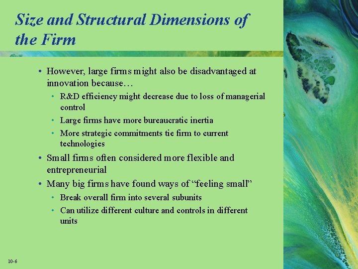 Size and Structural Dimensions of the Firm • However, large firms might also be