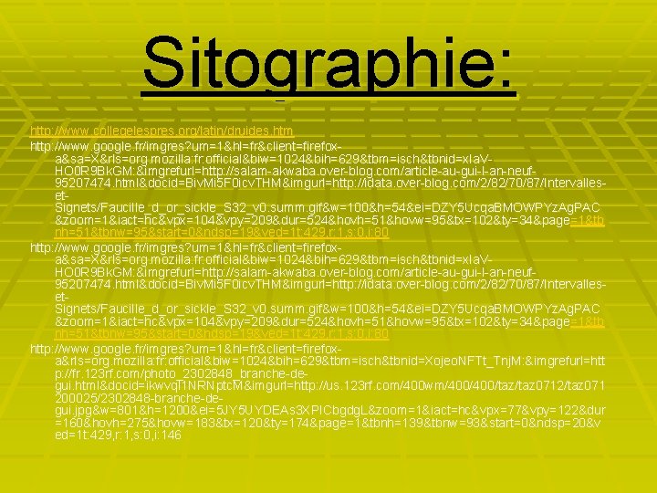 Sitographie: http: //www. collegelespres. org/latin/druides. htm http: //www. google. fr/imgres? um=1&hl=fr&client=firefoxa&sa=X&rls=org. mozilla: fr: official&biw=1024&bih=629&tbm=isch&tbnid=x.