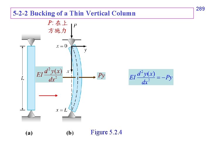 5 -2 -2 Bucking of a Thin Vertical Column P: 在上 方施力 Figure 5.