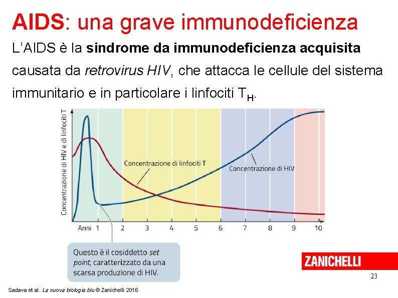 AIDS: una grave immunodeficienza L’AIDS è la sindrome da immunodeficienza acquisita causata da retrovirus