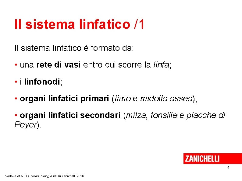 Il sistema linfatico /1 Il sistema linfatico è formato da: • una rete di