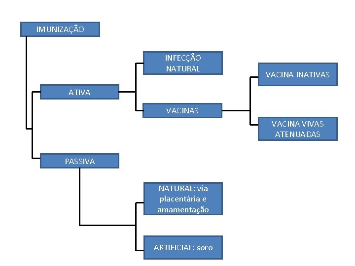 IMUNIZAÇÃO INFECÇÃO NATURAL VACINA INATIVAS ATIVA VACINAS VACINA VIVAS ATENUADAS PASSIVA NATURAL: via placentária IMUNIZAÇÃO INFECÇÃO NATURAL VACINA INATIVAS ATIVA VACINAS VACINA VIVAS ATENUADAS PASSIVA NATURAL: via placentária