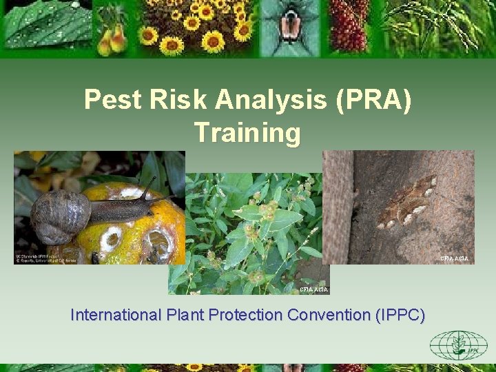 Pest Risk Analysis (PRA) Training CFIA-ACIA International Plant Protection Convention (IPPC) 