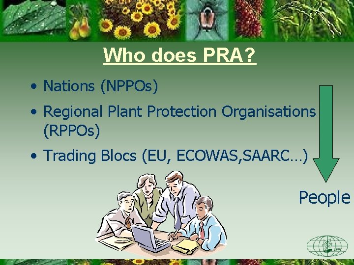 Who does PRA? • Nations (NPPOs) • Regional Plant Protection Organisations (RPPOs) • Trading