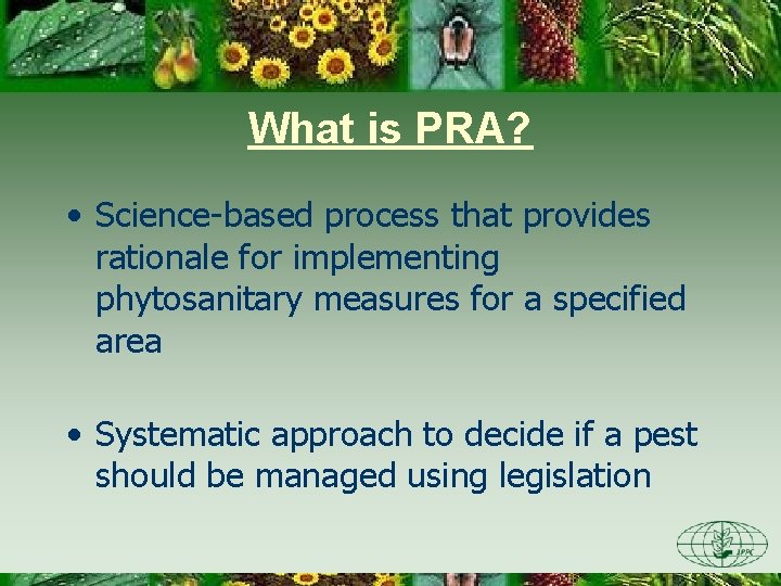 What is PRA? • Science-based process that provides rationale for implementing phytosanitary measures for