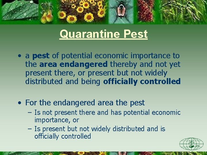 Quarantine Pest • a pest of potential economic importance to the area endangered thereby