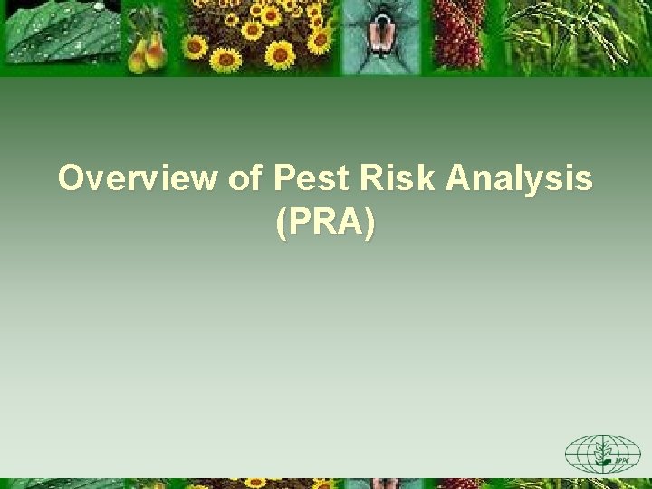 Overview of Pest Risk Analysis (PRA) 