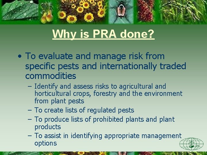 Why is PRA done? • To evaluate and manage risk from specific pests and