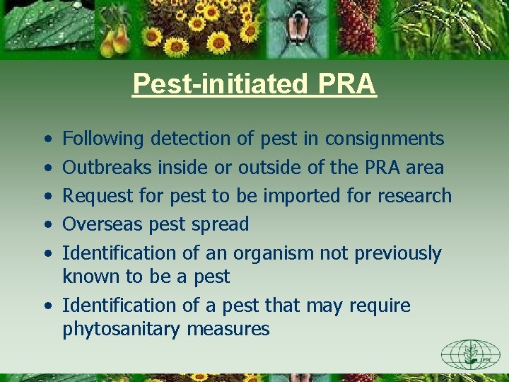 Pest-initiated PRA • • • Following detection of pest in consignments Outbreaks inside or