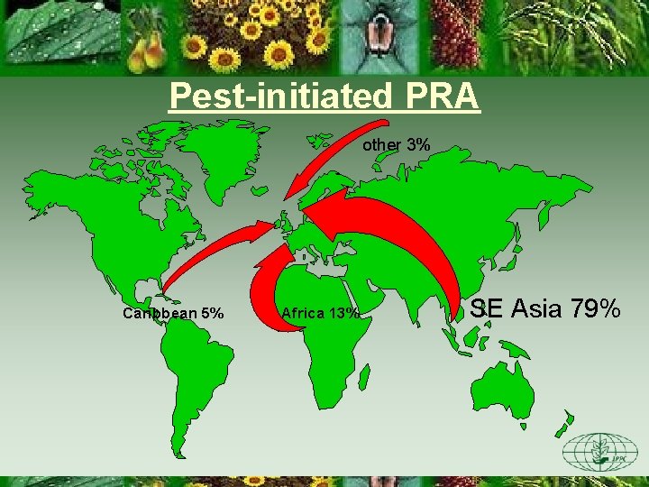 Pest-initiated PRA other 3% Caribbean 5% Africa 13% SE Asia 79% 