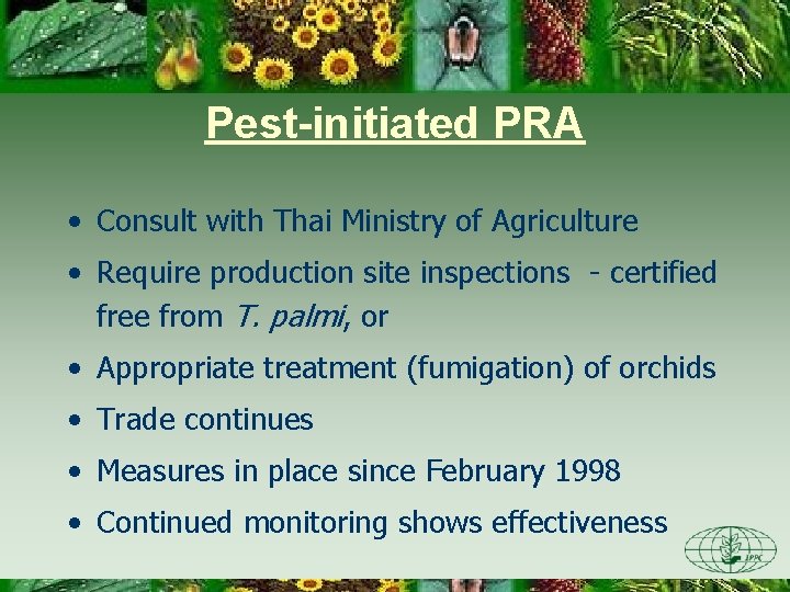 Pest-initiated PRA • Consult with Thai Ministry of Agriculture • Require production site inspections