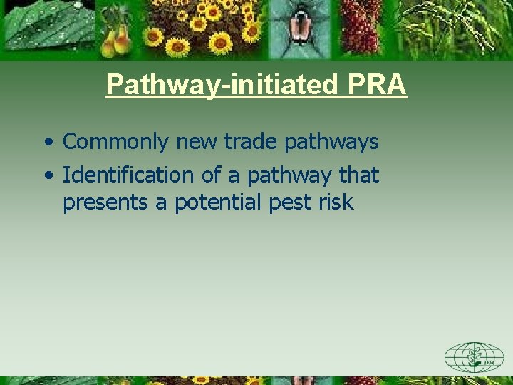 Pathway-initiated PRA • Commonly new trade pathways • Identification of a pathway that presents