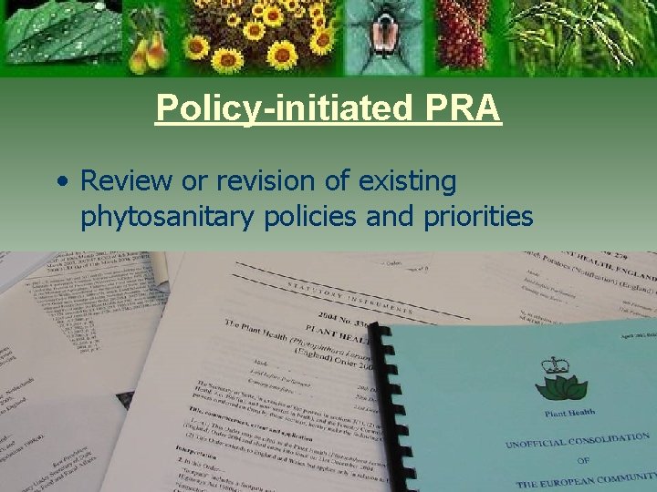 Policy-initiated PRA • Review or revision of existing phytosanitary policies and priorities 