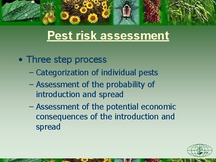 Pest risk assessment • Three step process – Categorization of individual pests – Assessment