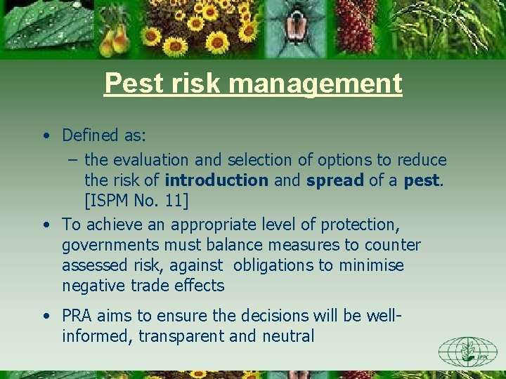 Pest risk management • Defined as: – the evaluation and selection of options to