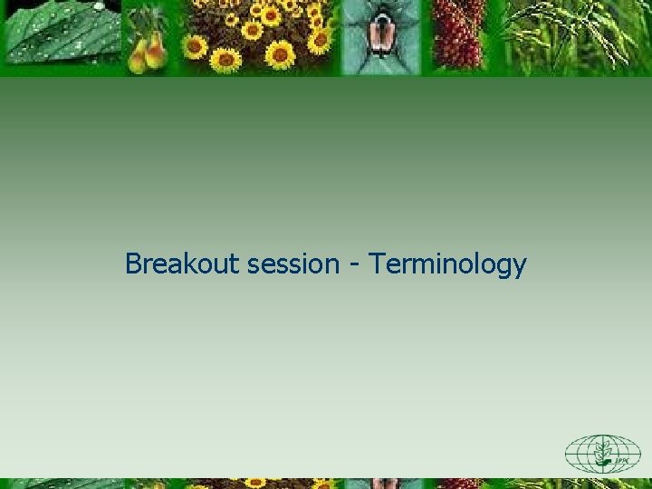 Breakout session - Terminology 