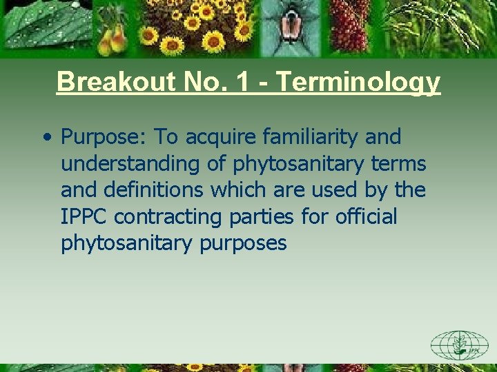 Breakout No. 1 - Terminology • Purpose: To acquire familiarity and understanding of phytosanitary