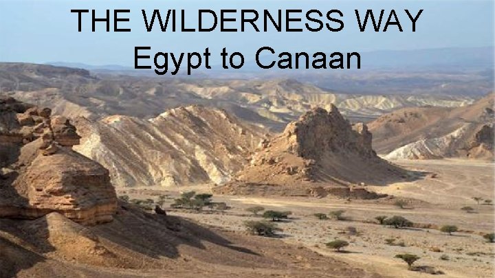 THE WILDERNESS WAY Egypt to Canaan 