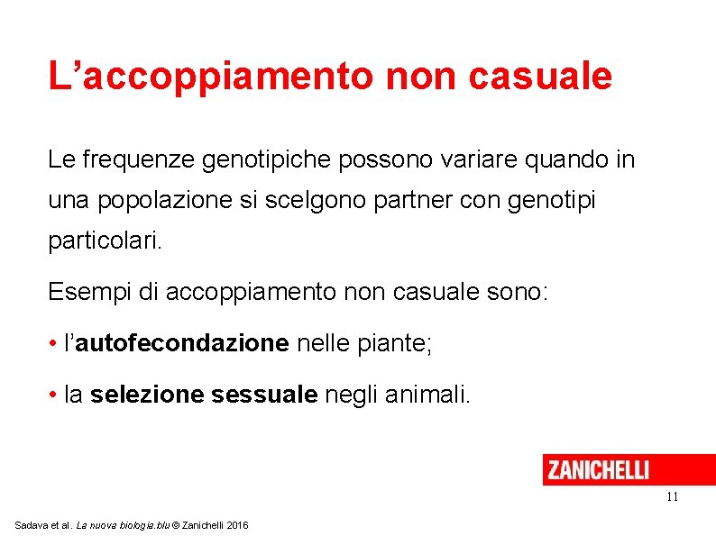 L’accoppiamento non casuale Le frequenze genotipiche possono variare quando in una popolazione si scelgono