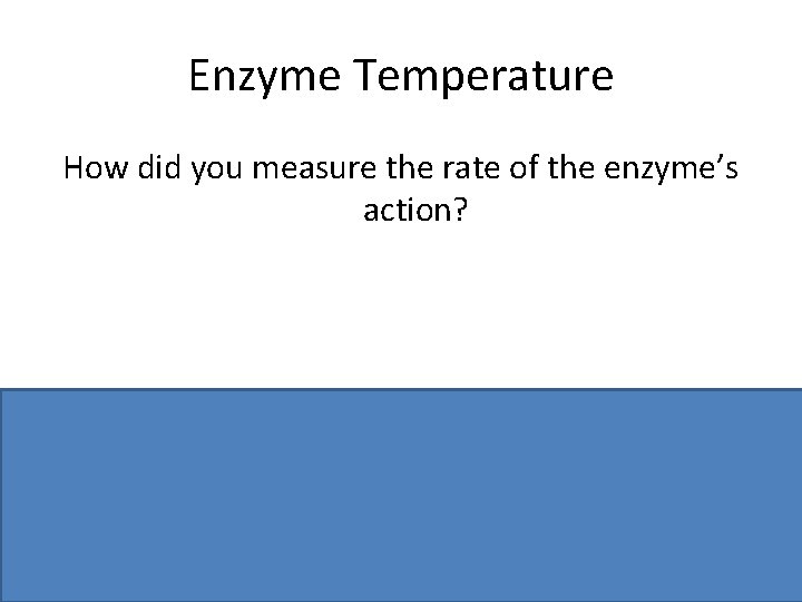 Enzyme Temperature How did you measure the rate of the enzyme’s action? Volumes of