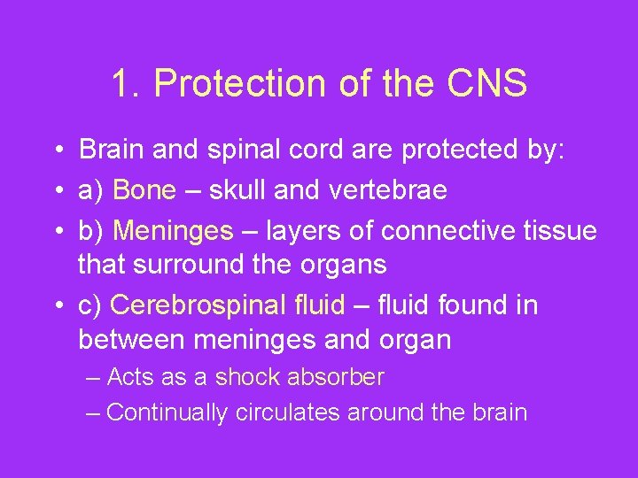 1. Protection of the CNS • Brain and spinal cord are protected by: •