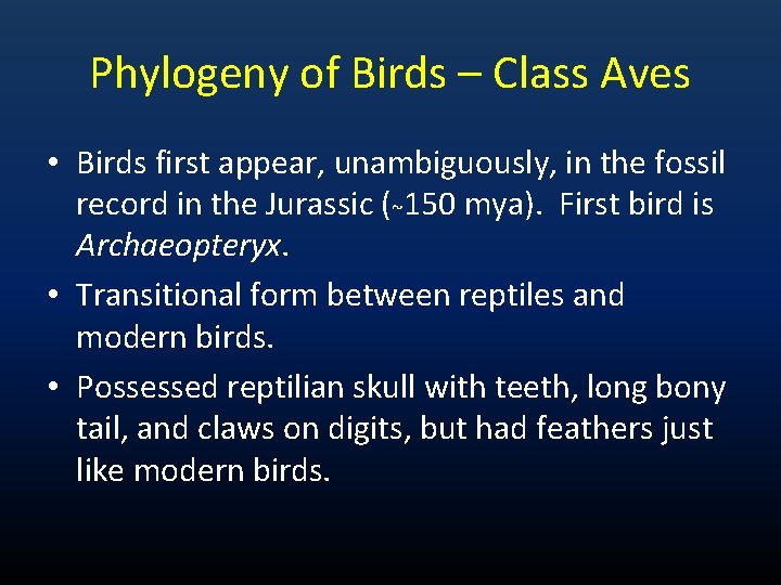 Phylogeny of Birds – Class Aves • Birds first appear, unambiguously, in the fossil