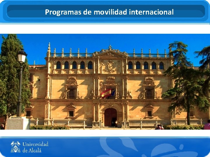 Programas de movilidad internacional 