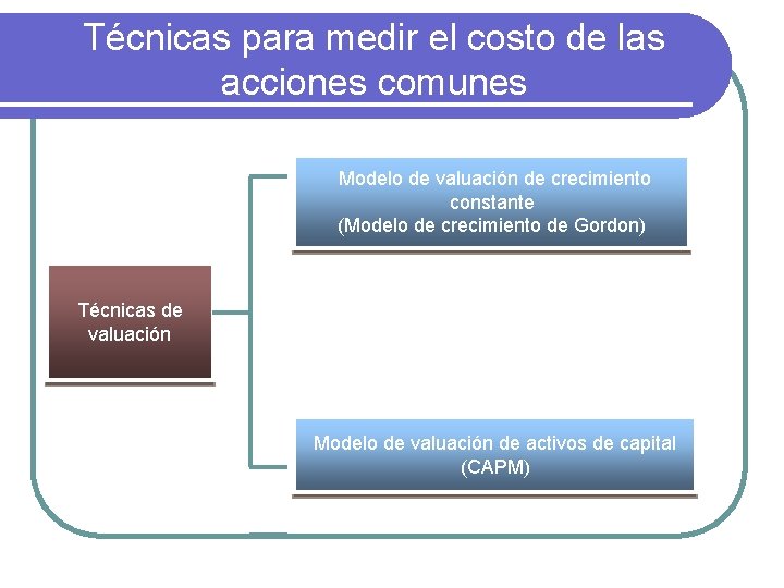 Técnicas para medir el costo de las acciones comunes Modelo de valuación de crecimiento