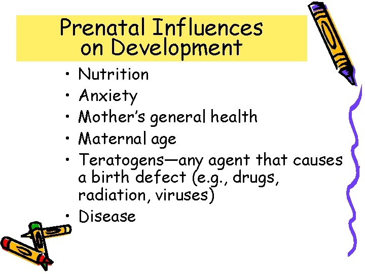 Prenatal Influences on Development • • • Nutrition Anxiety Mother’s general health Maternal age