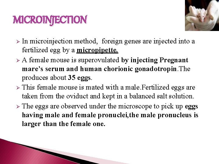 MICROINJECTION In microinjection method, foreign genes are injected into a fertilized egg by a