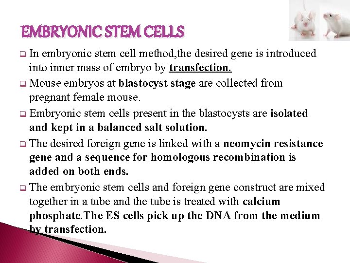 EMBRYONIC STEM CELLS In embryonic stem cell method, the desired gene is introduced into