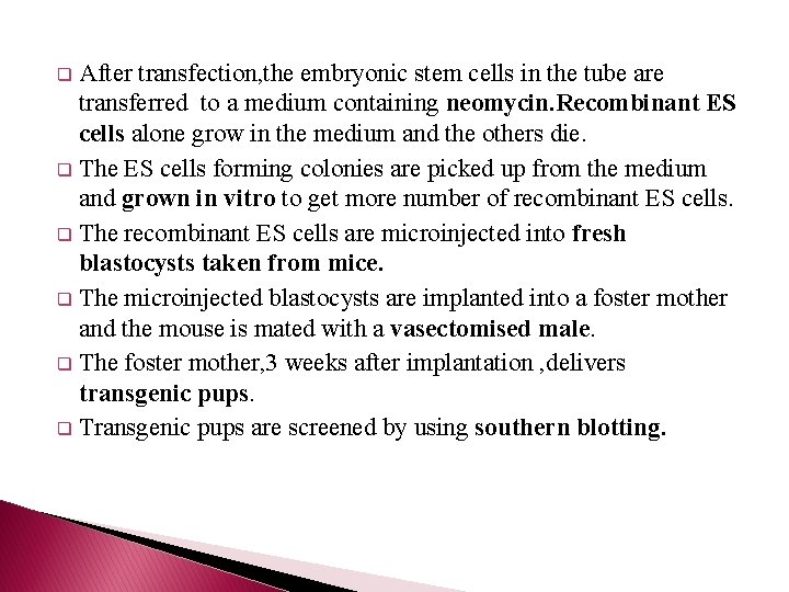 After transfection, the embryonic stem cells in the tube are transferred to a medium