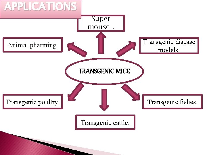 APPLICATIONS Super mouse. Transgenic disease models. Animal pharming. TRANSGENIC MICE Transgenic poultry. Transgenic fishes.