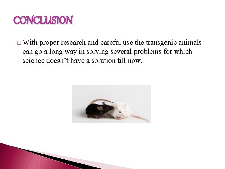 CONCLUSION � With proper research and careful use the transgenic animals can go a