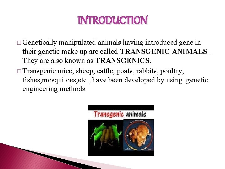 INTRODUCTION � Genetically manipulated animals having introduced gene in their genetic make up are