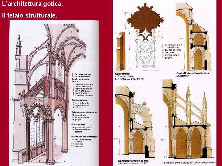 L’architettura gotica. Il telaio strutturale. 