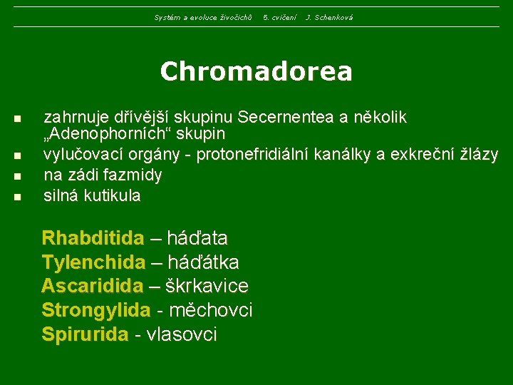 Systém a evoluce živočichů 5. cvičení J. Schenková Chromadorea n n zahrnuje dřívější skupinu Systém a evoluce živočichů 5. cvičení J. Schenková Chromadorea n n zahrnuje dřívější skupinu