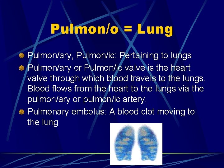 Pulmon/o = Lung Pulmon/ary, Pulmon/ic: Pertaining to lungs Pulmon/ary or Pulmon/ic valve is the