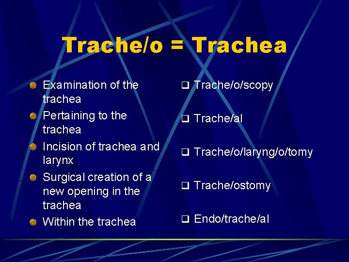 Trache/o = Trachea Examination of the trachea Pertaining to the trachea Incision of trachea